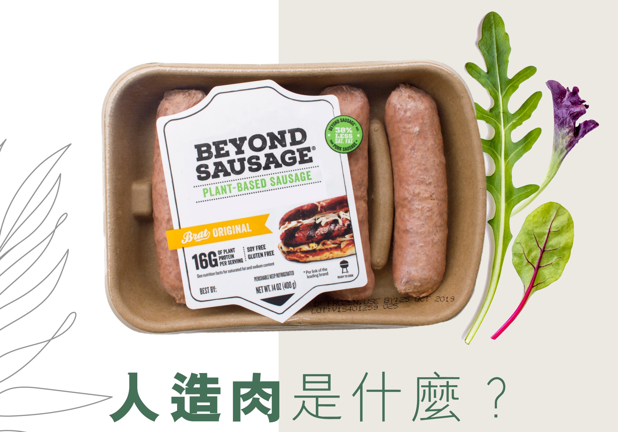 人造肉是什麼？  | Allklear 全清
