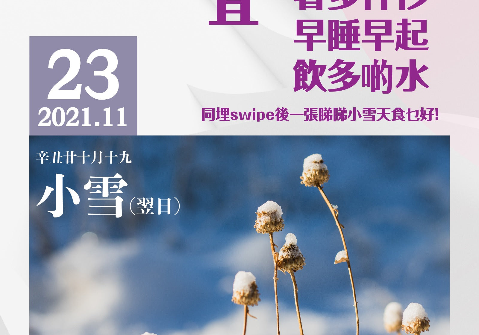 小雪食乜好？ | Allklear 全清
