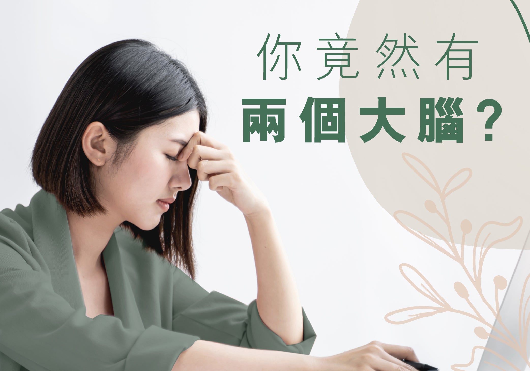 你竟然有兩個大腦？ | Allklear 全清