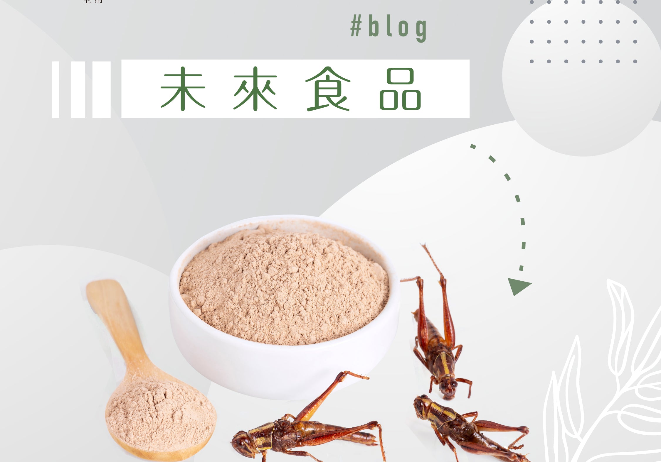 未來食品 | Allklear 全清